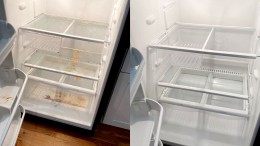 Refrigerator Cleaning