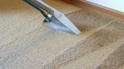 Carpet Cleaning