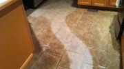 Tile Cleaning