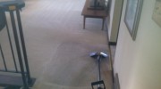 Carpet Cleaning