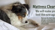 Mattress Cleaning