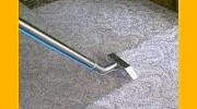 Carpet Cleaning