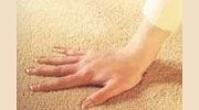 Home carpet cleaning