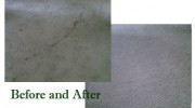 Carpet Cleaning