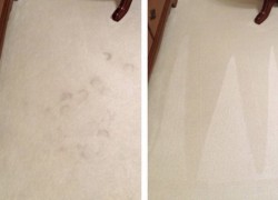 Carpet Cleaning Las Vegas