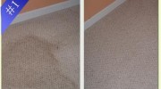 Carpet Cleaning