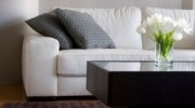 Upholstery Cleaning